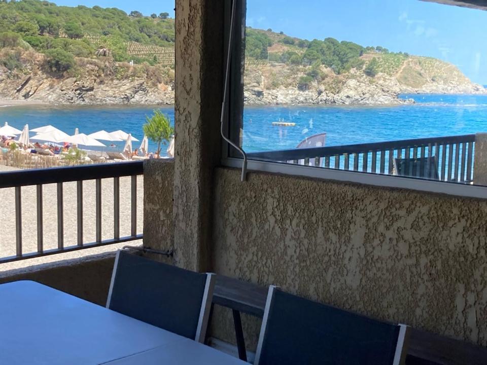 Appartement Les Pieds Dand L'Eau à Banyuls-sur-Mer Extérieur photo